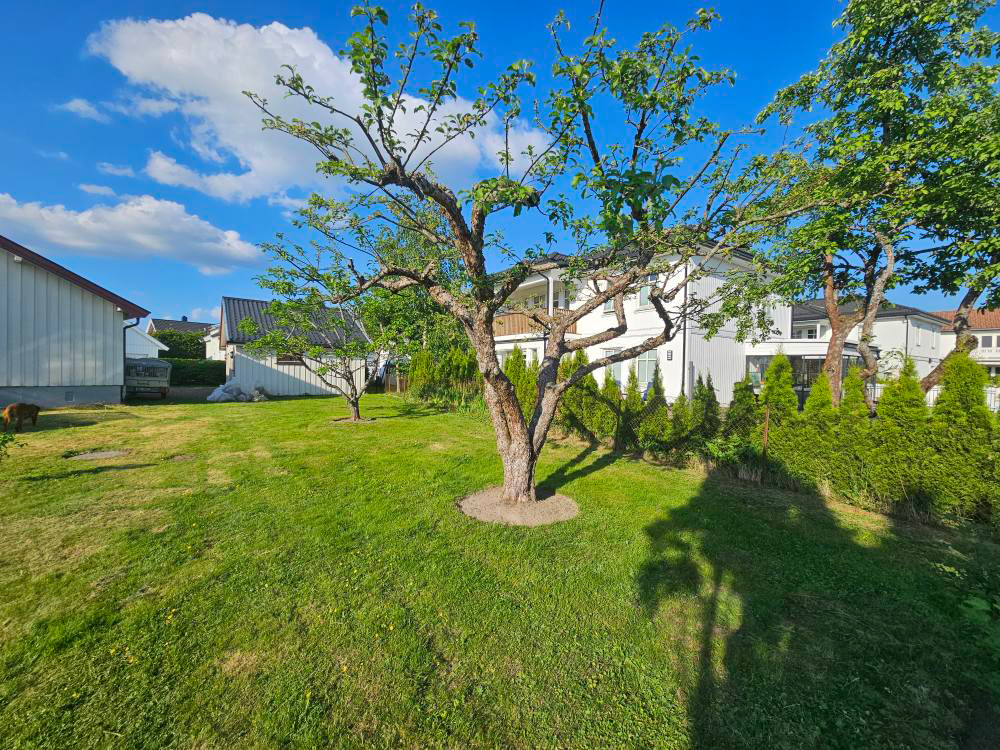 Hagearbeid før salg i Østfold – gjør boligen mer attraktiv for potensielle kjøpere